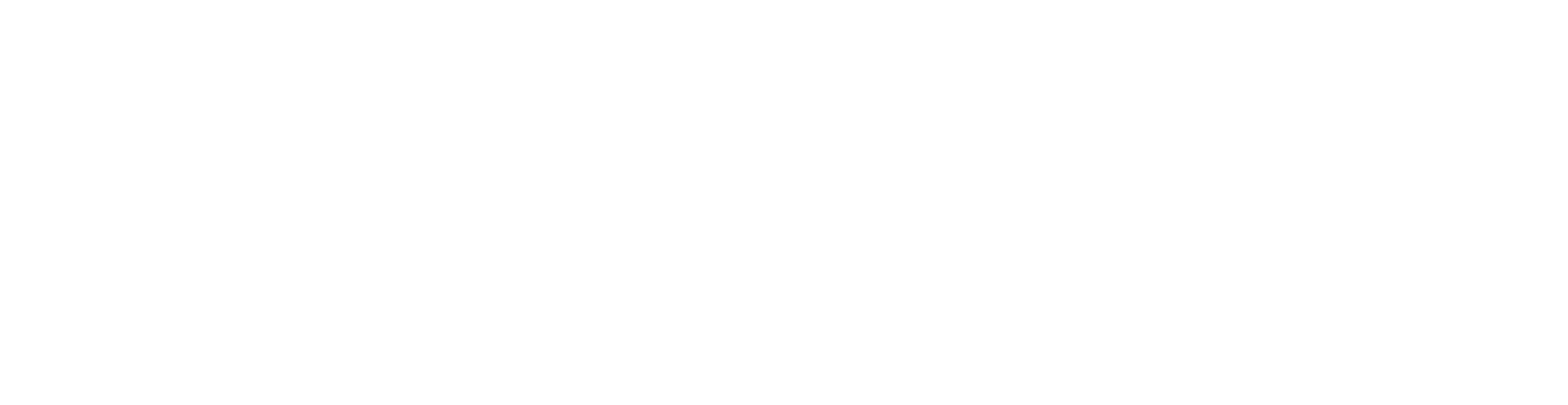 nvii_terrax_logo_trans_white